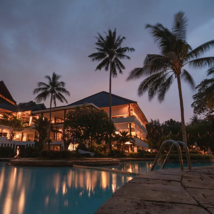 Palm trees at night
